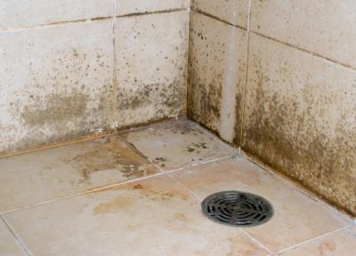 Prevent Mold and Mildew Growth